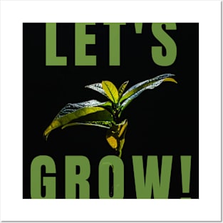 LET'S GROW  SEEDLINGS Posters and Art